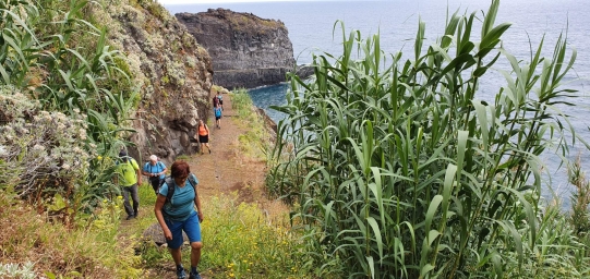 Madeira 14