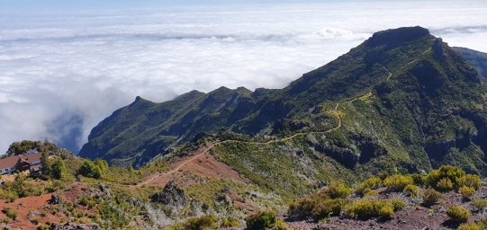 Madeira 19
