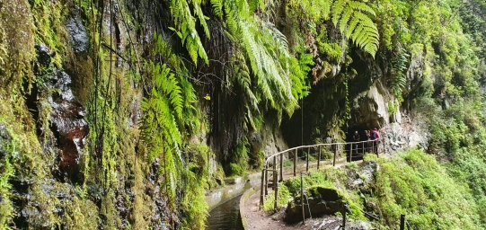 madeira 2
