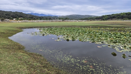 Lopar jezero Fruška lokva